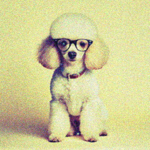 Kl v[h  t@bV NbVJo[ 45×45cm Aj}  NbV{̕t ` t@