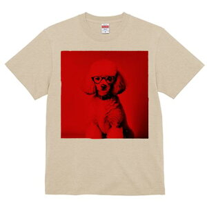 TVc Y LbY t@  t  vg JWA 킢 lԗp tBbglX _X Kl v[h  |[g[g