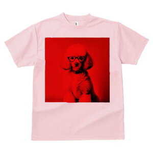 TVc Y LbY t@  t  vg JWA 킢 lԗp tBbglX _X Kl v[h  |[g[g