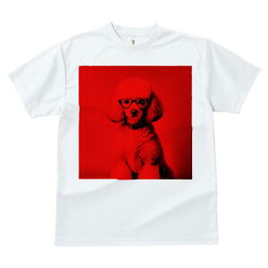 TVc Y LbY t@  t  vg JWA 킢 lԗp tBbglX _X Kl v[h  |[g[g