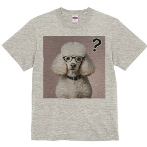 TVc Y LbY t@  t  vg JWA 킢 lԗp tBbglX _X Kl v[h }[N