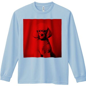 TVc lԗp Y Ht vg W[ AEghA JWA 킢 t@ Kl v[h  |[g[g