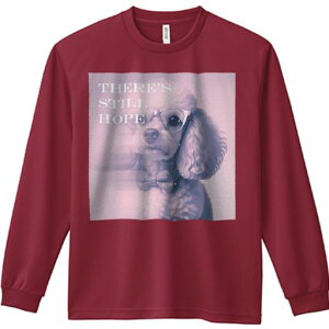 TVc lԗp Y Ht vg W[ AEghA JWA 킢 t@ ዾ v[h lN^C 