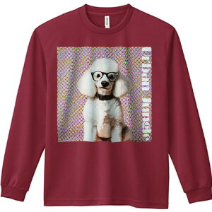 TVc lԗp Y Ht vg W[ AEghA JWA 킢 t@ Kl v[h Jt hbg |bvA[g