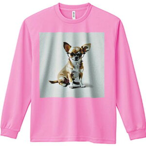 TVc lԗp Y Ht vg W[ AEghA JWA 킢 t@ Kl `  