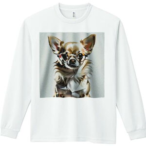 TVc lԗp Y Ht vg W[ AEghA JWA 킢 t@ Kl `   ӂӂ Ȍ