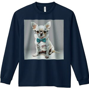 TVc lԗp Y Ht vg W[ AEghA JWA 킢 t@ Kl ` lN^C