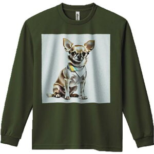 TVc lԗp Y Ht vg W[ AEghA JWA 킢 t@ Kl ` XJ[t