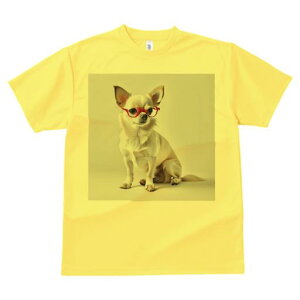 TVc Y LbY t@  t  vg JWA 킢 lԗp tBbglX _X Kl ` t@bV  wi