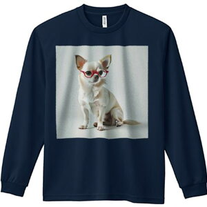 TVc lԗp Y Ht vg W[ AEghA JWA 킢 t@ Kl ` t@bV  wi