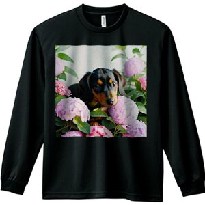 TVc lԗp Y Ht vg W[ AEghA JWA 킢 t@ AWTC _bNXtg  ΂̗t Ԓd