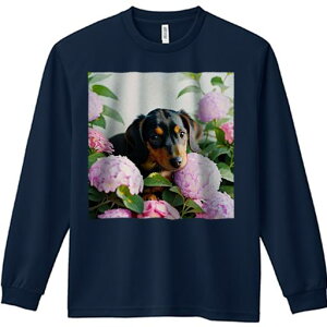 TVc lԗp Y Ht vg W[ AEghA JWA 킢 t@ AWTC _bNXtg  ΂̗t Ԓd