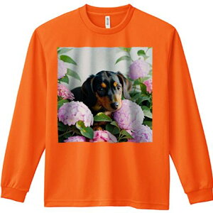 TVc lԗp Y Ht vg W[ AEghA JWA 킢 t@ AWTC _bNXtg  ΂̗t Ԓd