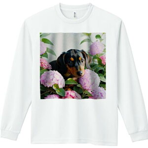 TVc lԗp Y Ht vg W[ AEghA JWA 킢 t@ AWTC _bNXtg  ΂̗t Ԓd