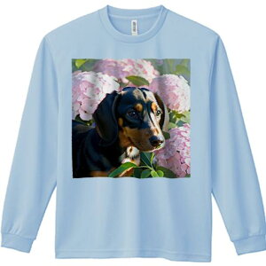 TVc lԗp Y Ht vg W[ AEghA JWA 킢 t@ sÑAWTC _bNXtg  