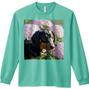 TVc lԗp Y Ht vg W[ AEghA JWA 킢 t@ sÑAWTC _bNXtg  