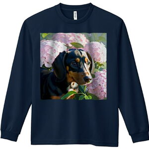 TVc lԗp Y Ht vg W[ AEghA JWA 킢 t@ sÑAWTC _bNXtg  