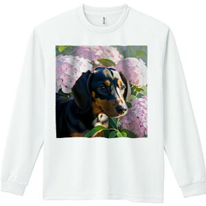 TVc lԗp Y Ht vg W[ AEghA JWA 킢 t@ sÑAWTC _bNXtg  