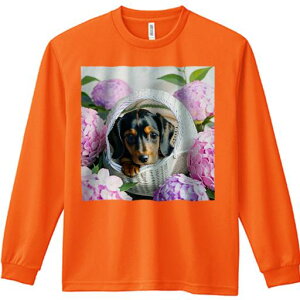 TVc lԗp Y Ht vg W[ AEghA JWA 킢 t@ AWTC _bNXth  oXPbg