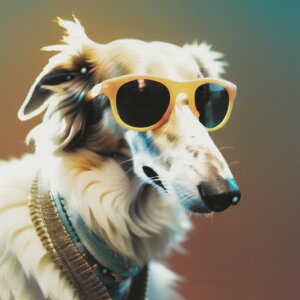 TOX {]C Jt N[ Kl NbVJo[ 45×45cm Aj}   NbV{̕t ` t@