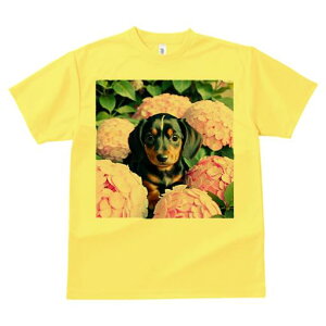 TVc Y LbY t@  t  vg JWA 킢 lԗp tBbglX _X z _bNXth sN̉ ԑ ΂̗t