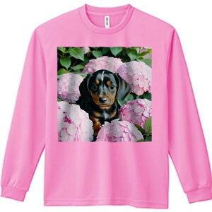 TVc lԗp Y Ht vg W[ AEghA JWA 킢 t@ z _bNXth sN̉ ԑ ΂̗t