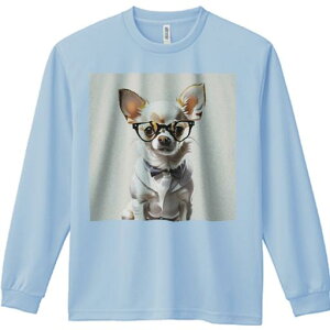 TVc lԗp Y Ht vg W[ AEghA JWA 킢 t@ ዾ `  lN^C