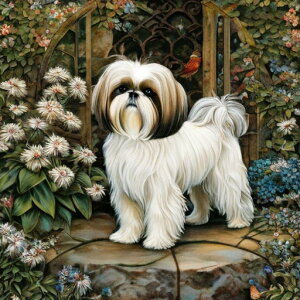  V[Y[ A  Ώ A[` NbVJo[ 45×45cm Aj}   NbV{̕t ` t@