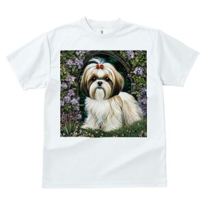 TVc Y LbY t@  t  vg JWA 킢 lԗp tBbglX _X  V[Y[ A[` 