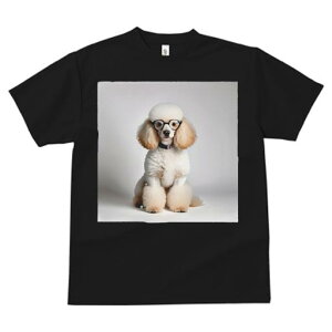 TVc Y LbY t@  t  vg JWA 킢 lԗp tBbglX _X Kl v[h  ʂݕ