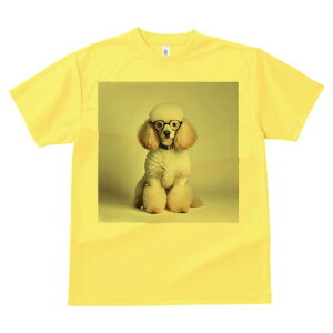 TVc Y LbY t@  t  vg JWA 킢 lԗp tBbglX _X Kl v[h  ʂݕ