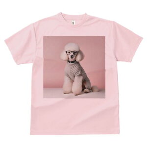 TVc Y LbY t@  t  vg JWA 킢 lԗp tBbglX _X Kl v[h Z[^[ sNwi 