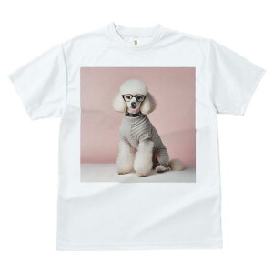 TVc Y LbY t@  t  vg JWA 킢 lԗp tBbglX _X Kl v[h Z[^[ sNwi 