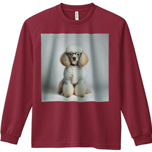 TVc lԗp Y Ht vg W[ AEghA JWA 킢 t@ Kl v[h  ʂݕ