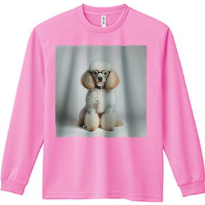 TVc lԗp Y Ht vg W[ AEghA JWA 킢 t@ Kl v[h  ʂݕ