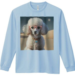 TVc lԗp Y Ht vg W[ AEghA JWA 킢 t@ Kl v[h   J[