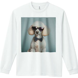 TVc lԗp Y Ht vg W[ AEghA JWA 킢 t@ TOX v[h lN^C