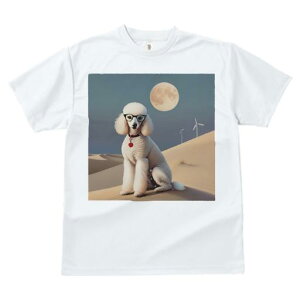 TVc Y LbY t@  t  vg JWA 킢 lԗp tBbglX _X  v[h ዾ ͔d@ 