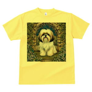 TVc Y LbY t@  t  vg JWA 킢 lԗp tBbglX _X re[WA[` V[Y[  