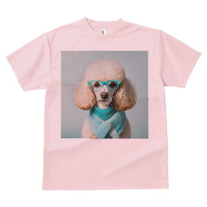 TVc Y LbY t@  t  vg JWA 킢 lԗp tBbglX _X Kl v[h Z[^[ F 