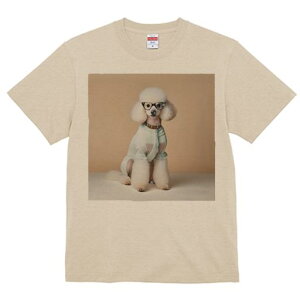 TVc Y LbY t@  t  vg JWA 킢 lԗp tBbglX _X Kl v[h Z[^[ ͌^