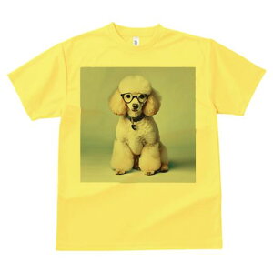 TVc Y LbY t@  t  vg JWA 킢 lԗp tBbglX _X Kl v[h  n[g`̃^O