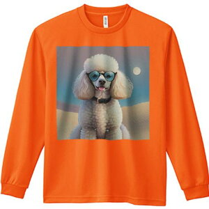 TVc lԗp Y Ht vg W[ AEghA JWA 킢 t@ Kl v[h  