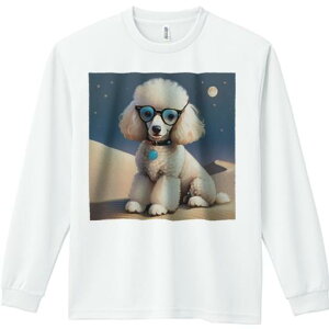 TVc lԗp Y Ht vg W[ AEghA JWA 킢 t@ Kl v[h   