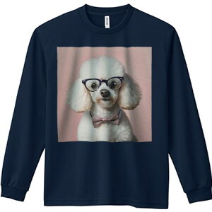 TVc lԗp Y Ht vg W[ AEghA JWA 킢 t@ Kl v[h lN^C sNwi