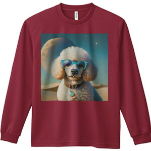 TVc lԗp Y Ht vg W[ AEghA JWA 킢 t@ Kl v[h   F 