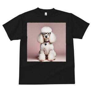 TVc Y LbY t@  t  vg JWA 킢 lԗp tBbglX _X sNwi v[h Kl n[g^̎