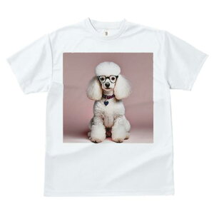 TVc Y LbY t@  t  vg JWA 킢 lԗp tBbglX _X sNwi v[h Kl n[g^̎