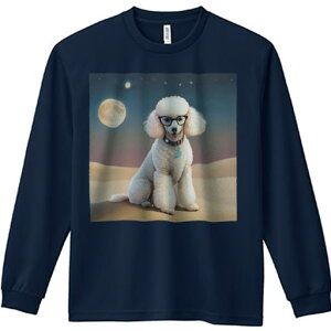 TVc lԗp Y Ht vg W[ AEghA JWA 킢 t@  v[h Kl   