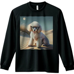 TVc lԗp Y Ht vg W[ AEghA JWA 킢 t@  v[h Kl  